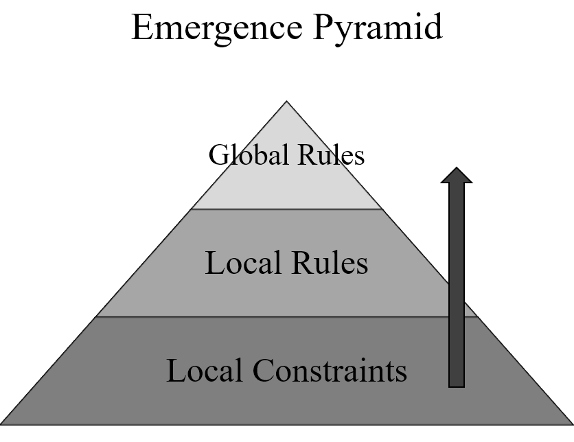Emergence pyramid showing local constraints, local rules and global guidance